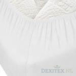 Jersey-wit-detail-logo-Dexitex