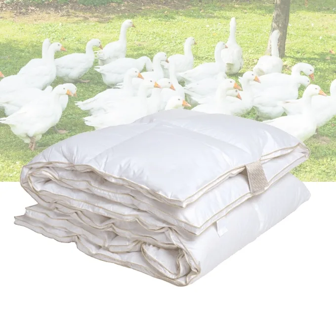 Dekbed 90 % Ganzendons europees 4 seizoenen