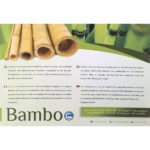 bamboo-1024x1024