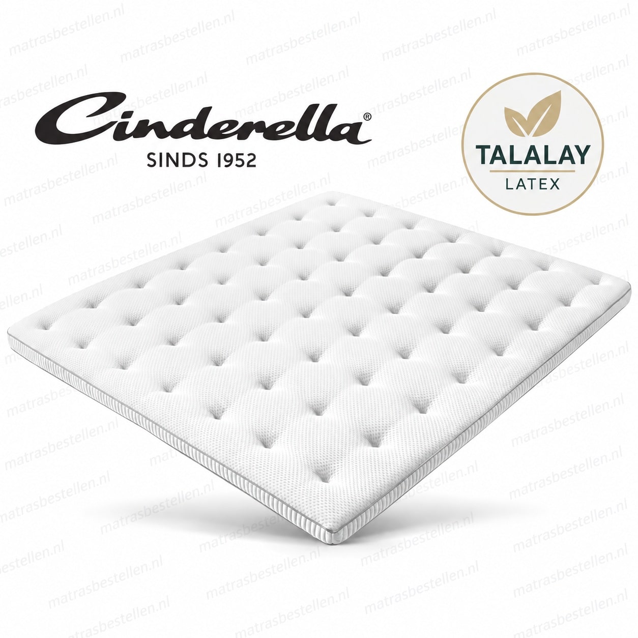 vita talalay cinderella summum